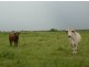 630 HAYNES ROAD, Adelaide River NT 0846