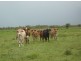 630 HAYNES ROAD, Adelaide River NT 0846
