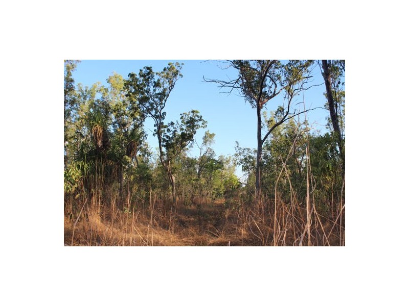 560 HOPEWELL ROAD, Berry Springs NT 0838