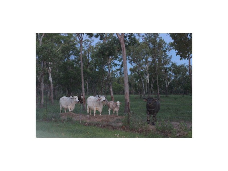 815 Miles Road, Batchelor NT 0845