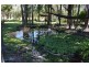 1230 Old Bynoe Rd, Berry Springs NT 0838