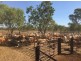 TARLEE STATION, Larrimah NT 0852