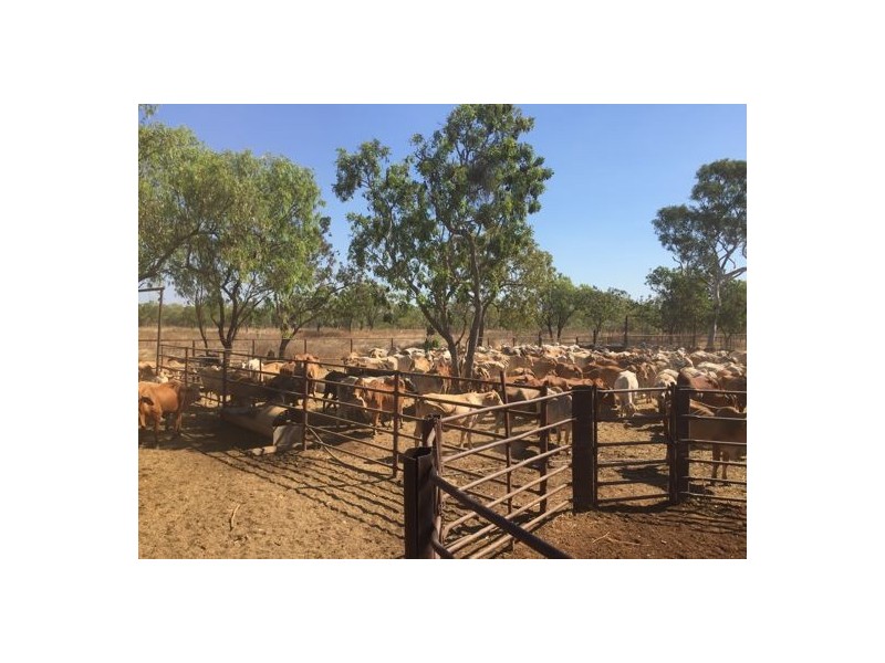 TARLEE STATION, Larrimah NT 0852