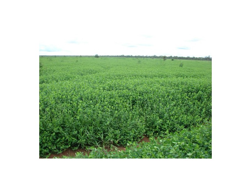 TARLEE STATION, Larrimah NT 0852