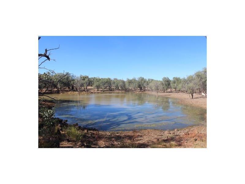 TARLEE STATION, Larrimah NT 0852