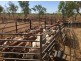 TARLEE STATION, Larrimah NT 0852