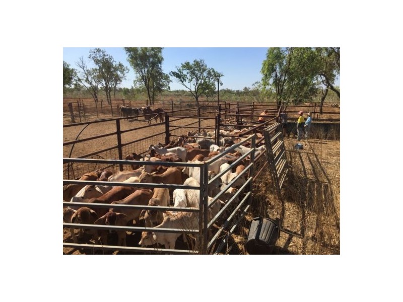 TARLEE STATION, Larrimah NT 0852
