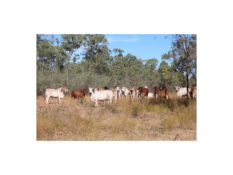 TARLEE STATION, Larrimah NT 0852