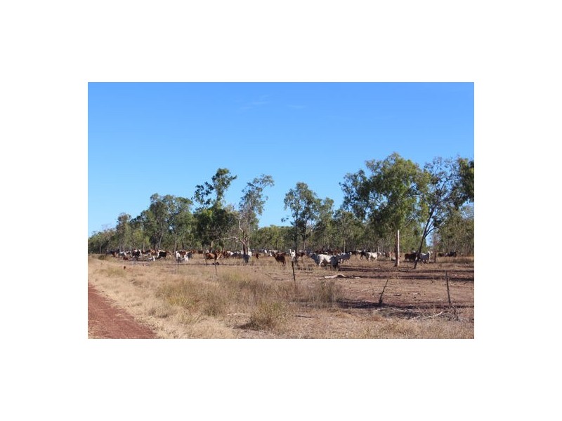 TARLEE STATION, Larrimah NT 0852