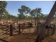 TARLEE STATION, Larrimah NT 0852