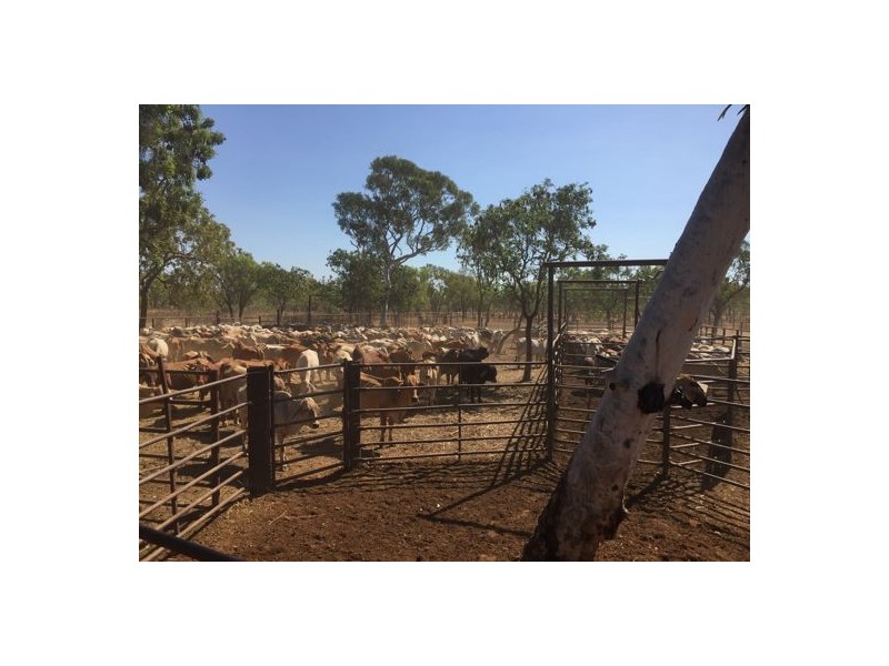 TARLEE STATION, Larrimah NT 0852