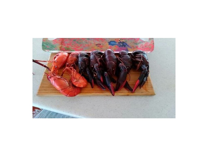 Sec 9 HUNDRED OF MILNE, Dundee Downs NT 0840