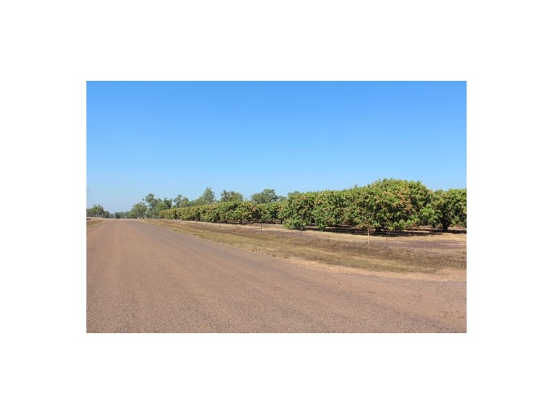 135 & 155 Colton Road, Acacia Hills NT 0822