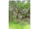 3435 Arnhem Highway, Marrakai NT 0822