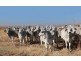 1630 Stuart Highway, Pine Creek NT 0847
