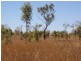 6846 Wright Road, Marrakai NT 0822