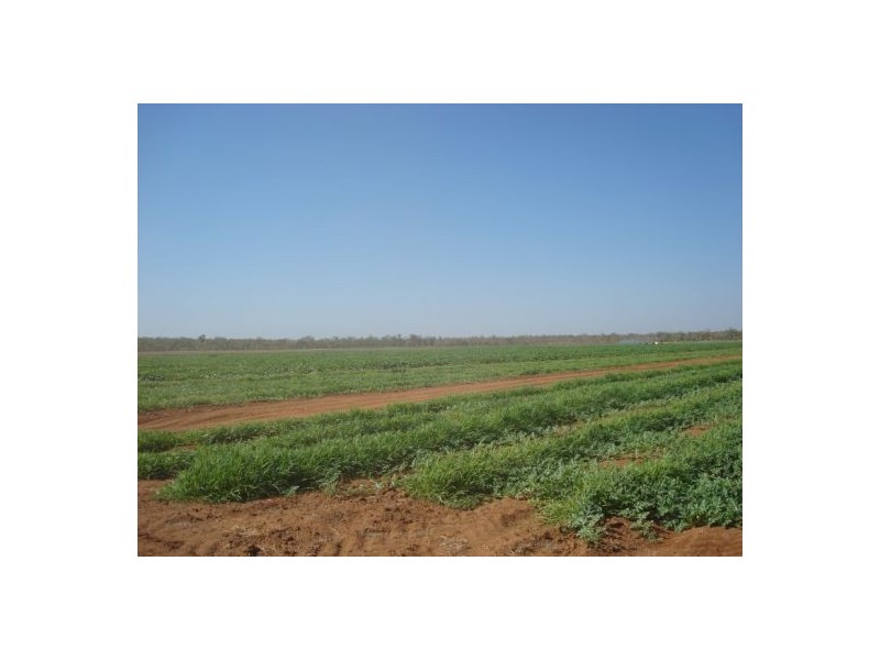3385 Florina Rd  “Sandy Creek Station”, Katherine NT 0850