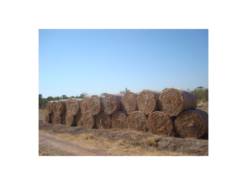 3385 Florina Rd  “Sandy Creek Station”, Katherine NT 0850