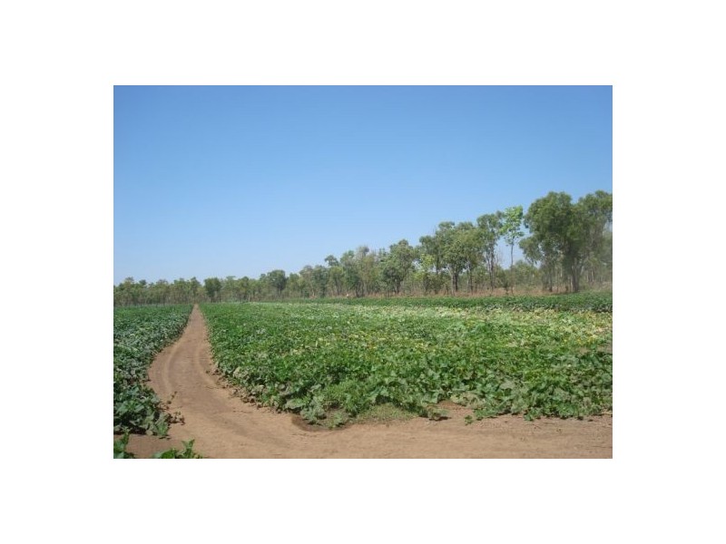2351 Edith Farms Rd Wilderness Farms, Katherine NT 0850