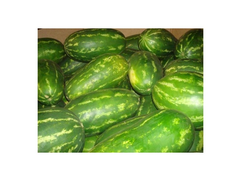 2351 Edith Farms Rd Wilderness Farms, Katherine NT 0850