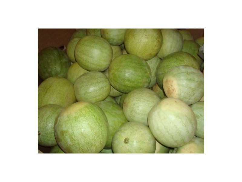 2351 Edith Farms Rd Wilderness Farms, Katherine NT 0850