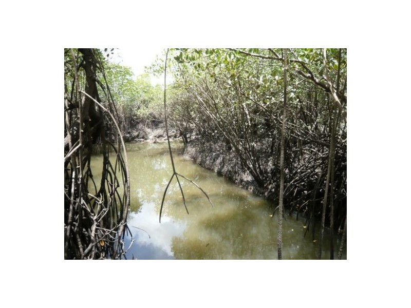 550  LOWTHER RD, Virginia NT 0835