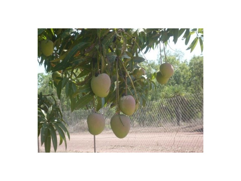 675 Strickland Road, Adelaide River NT 0846