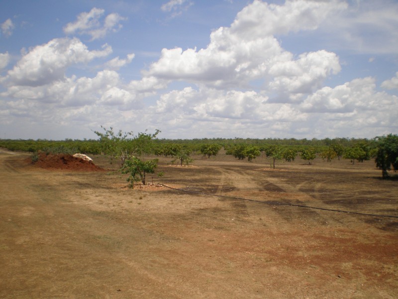 Lot 2008 Litchfield Park Road, Batchelor NT 0845