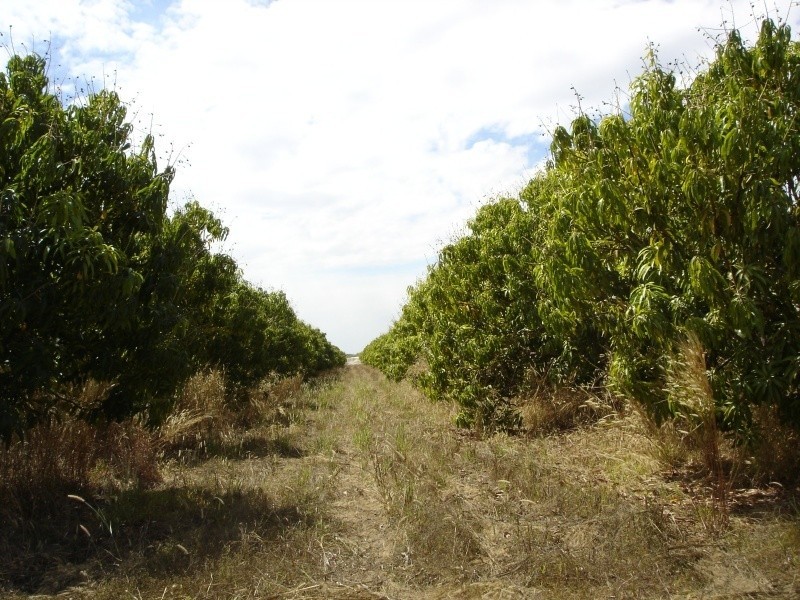 5283/146 Barr Rd, Marrakai NT 0822