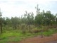685 Mocatto Road, Acacia Hills NT 0822