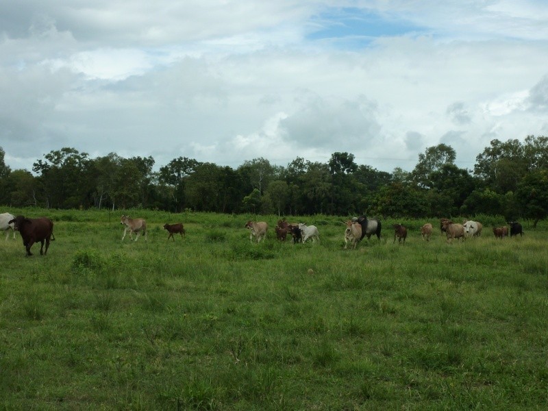 630 Haynes Rd, Adelaide River NT 0846