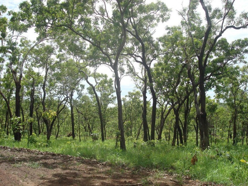 Sec 148 hundred of colton, Acacia Hills NT 0822