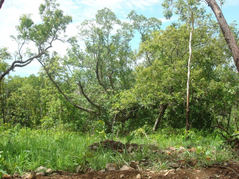 Sec 148 hundred of colton, Acacia Hills NT 0822