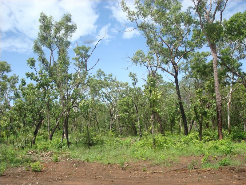 Sec 148 hundred of colton, Acacia Hills NT 0822