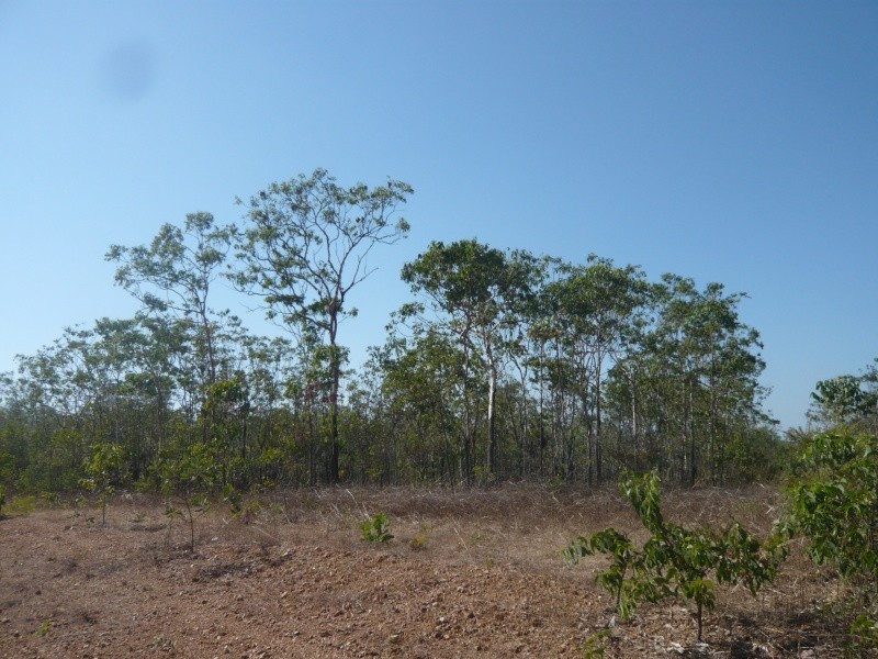 4 Dowling Rd, Virginia NT 0835