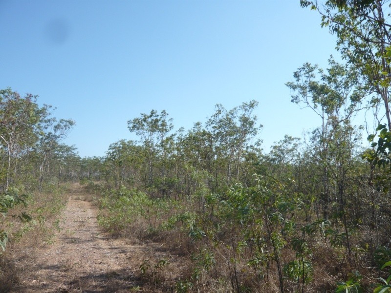 4 Dowling Rd, Virginia NT 0835