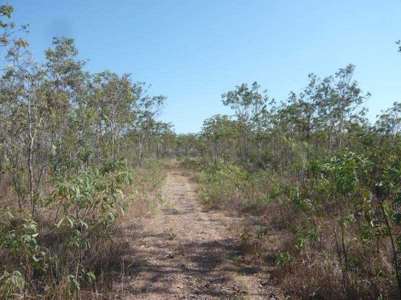 4 Dowling Rd, Virginia NT 0835