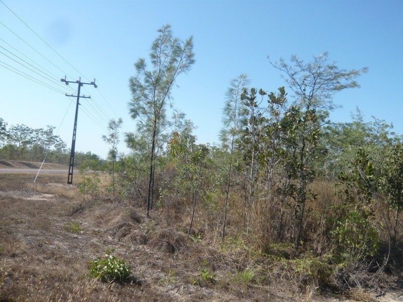 4 Dowling Rd, Virginia NT 0835