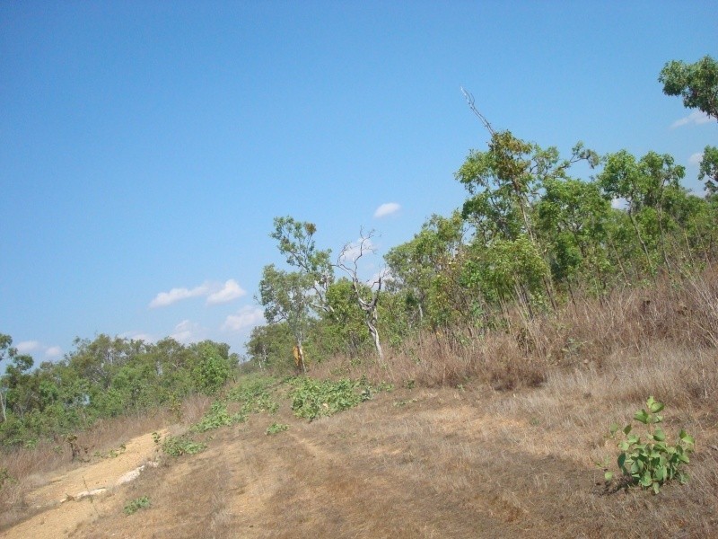 335 Wright Rd, Marrakai NT 0822