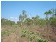335 Wright Rd, Marrakai NT 0822