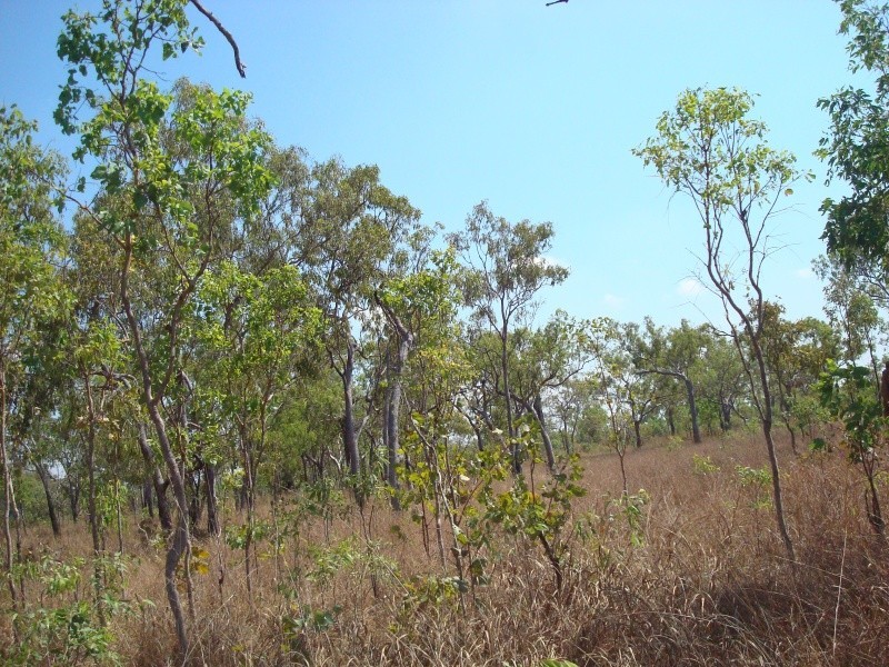 335 Wright Rd, Marrakai NT 0822