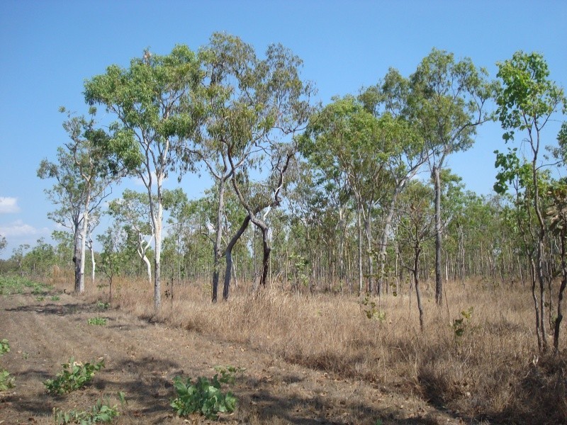 335 Wright Rd, Marrakai NT 0822