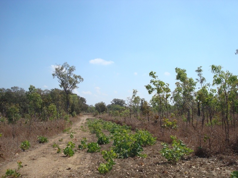 335 Wright Rd, Marrakai NT 0822