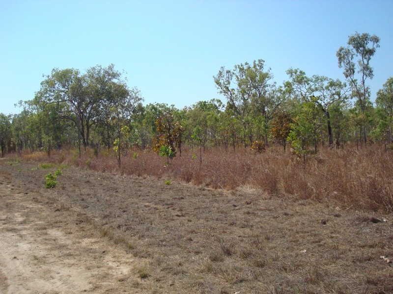 335 Wright Rd, Marrakai NT 0822