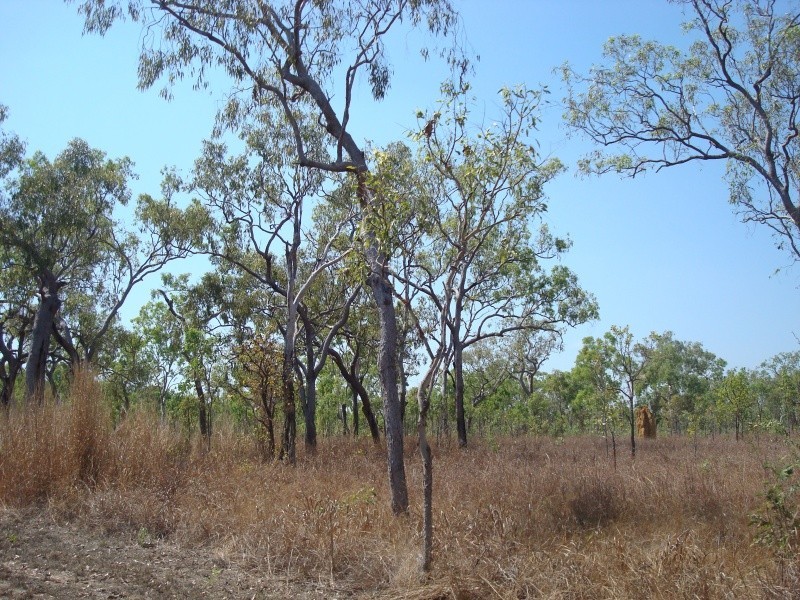 335 Wright Rd, Marrakai NT 0822