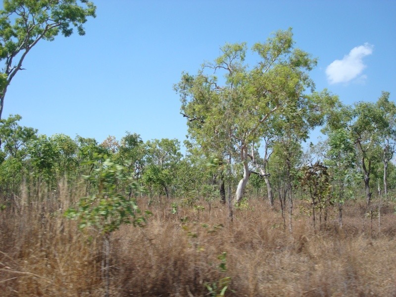 335 Wright Rd, Marrakai NT 0822