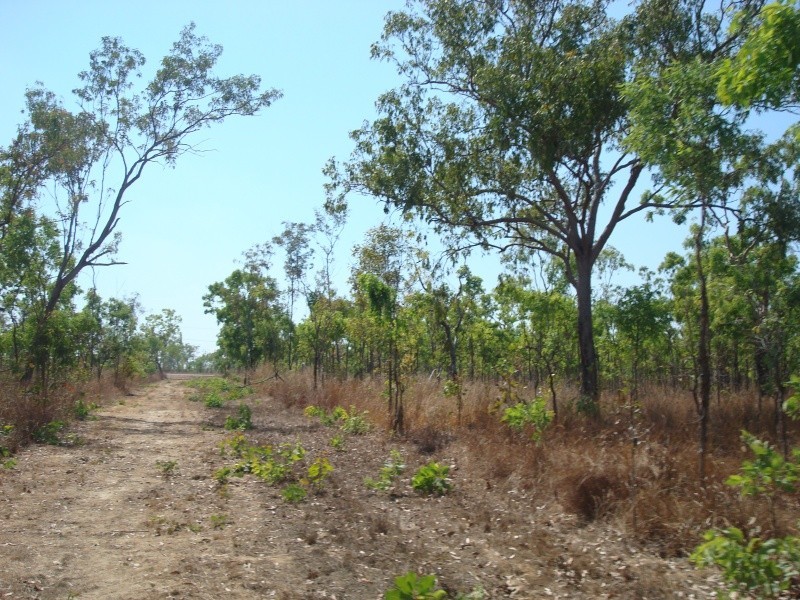 335 Wright Rd, Marrakai NT 0822