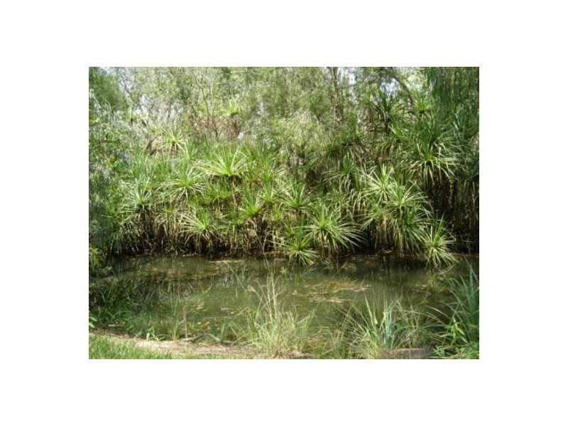 760 Reedbeds Rd, Darwin River NT 0841
