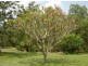 760 Reedbeds Rd, Darwin River NT 0841