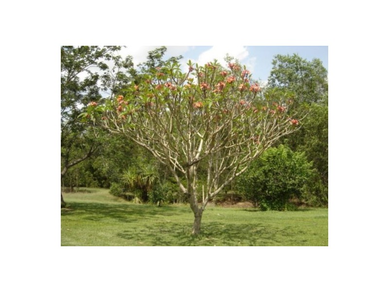 760 Reedbeds Rd, Darwin River NT 0841